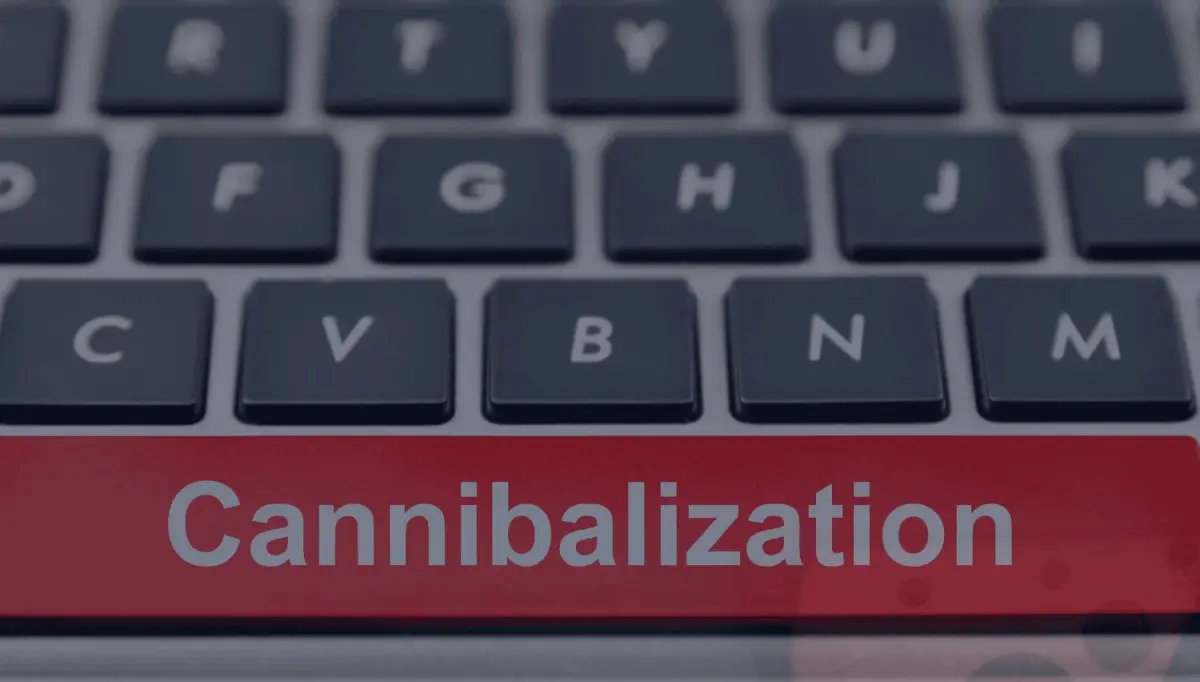 Keyword Cannibalization Guide: The Impact and Steps to Identify Issues