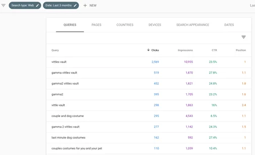 Search Console Report