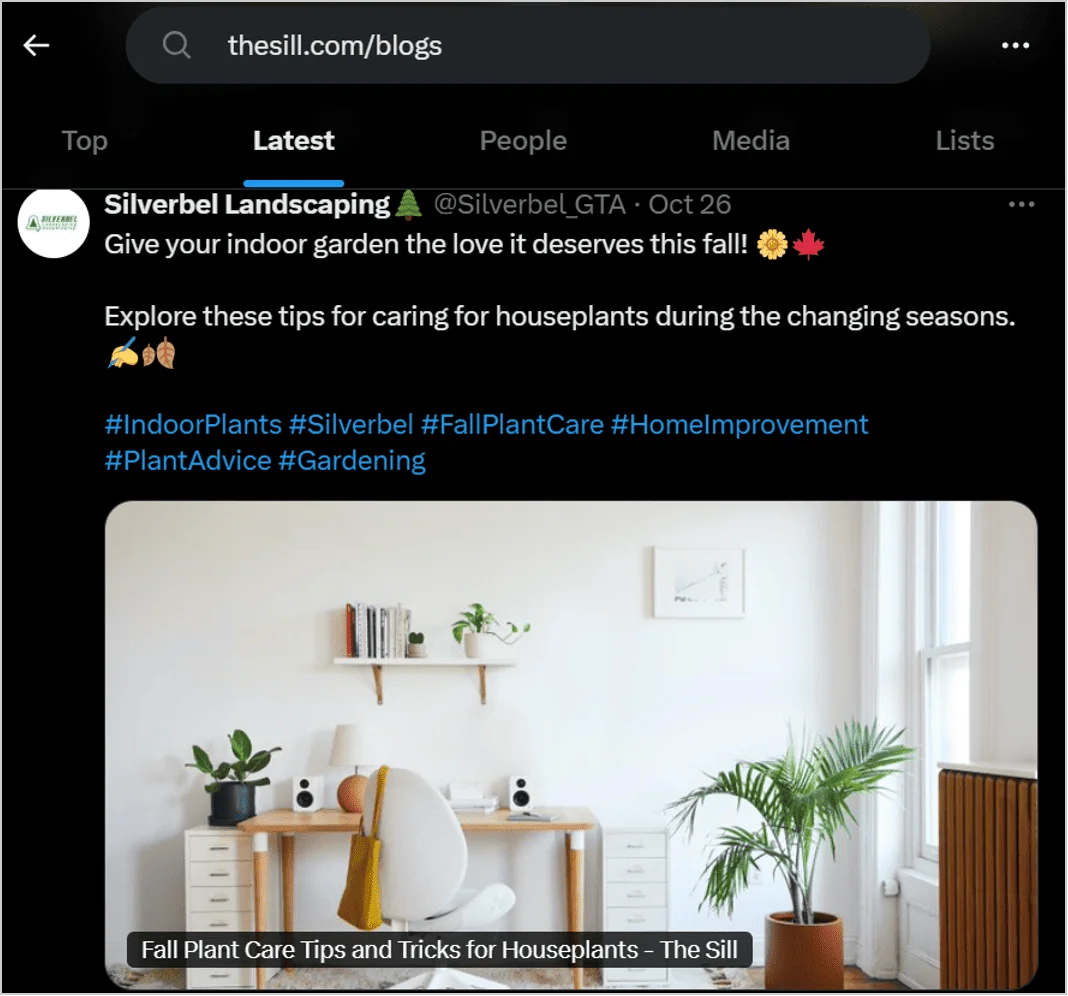 Twitter post showcasing tips for caring for houseplants with a link to The Sill’s blog, leveraging social media for local SEO campaigns.