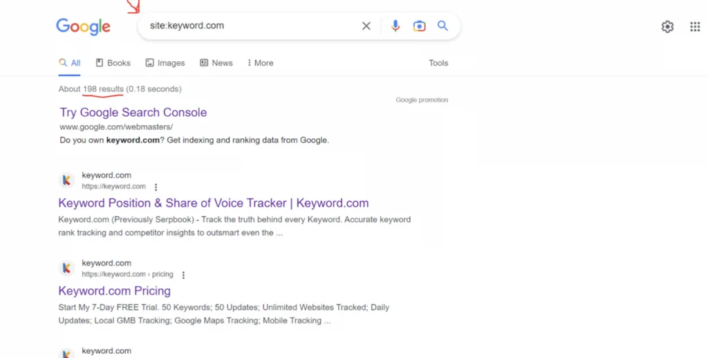 Example of indexed URLs in Google Search