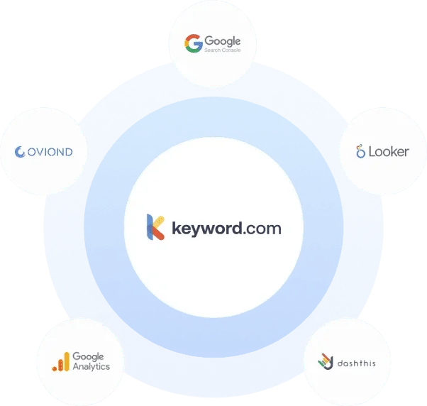 Create custom reports and SEO dashboards with rank tracker API