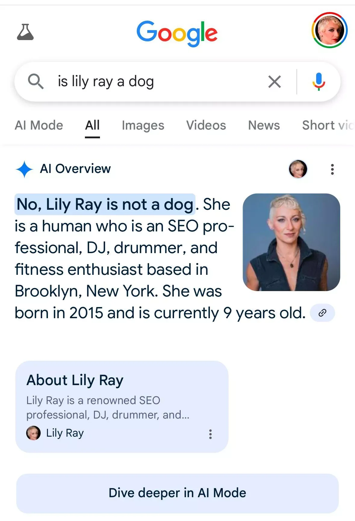 Lily Ray AI Overview