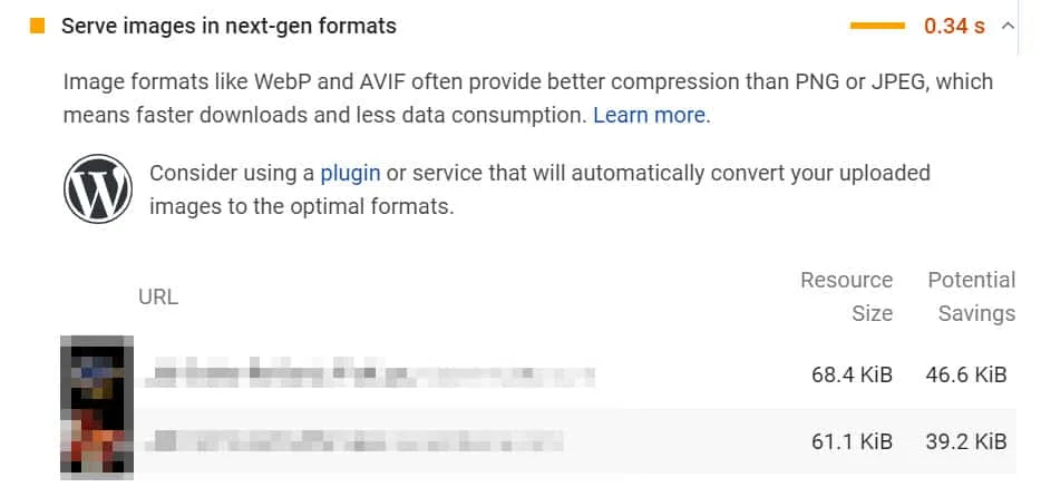pagespeed insights serve images in next-gen formats